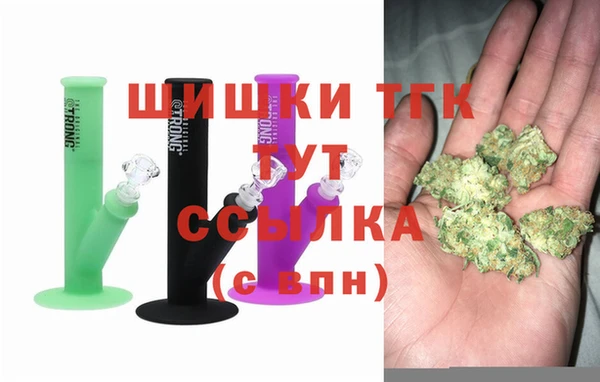 хмурый Арсеньев