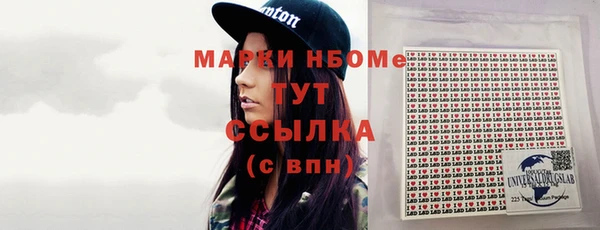хмурый Арсеньев