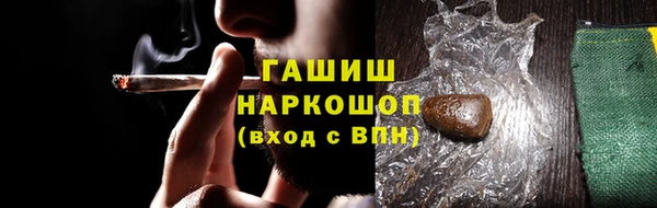 хмурый Арсеньев