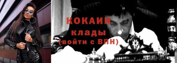хмурый Арсеньев