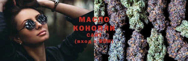 хмурый Арсеньев