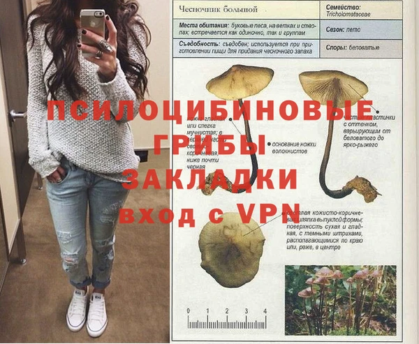 ALPHA PVP Аркадак