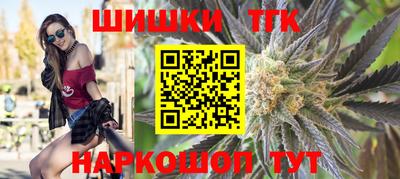 мдпв Славгород
