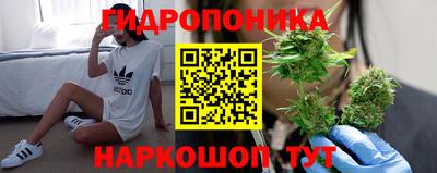 мдпв Славгород