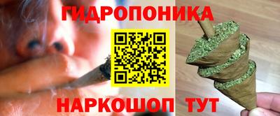 гашик Славянск-на-Кубани