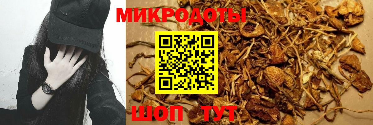 Псилоцибиновые грибы Magic Shrooms  Вход с VPN  Тейково 